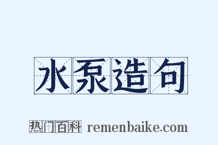 水泵造句是什么意思的图片